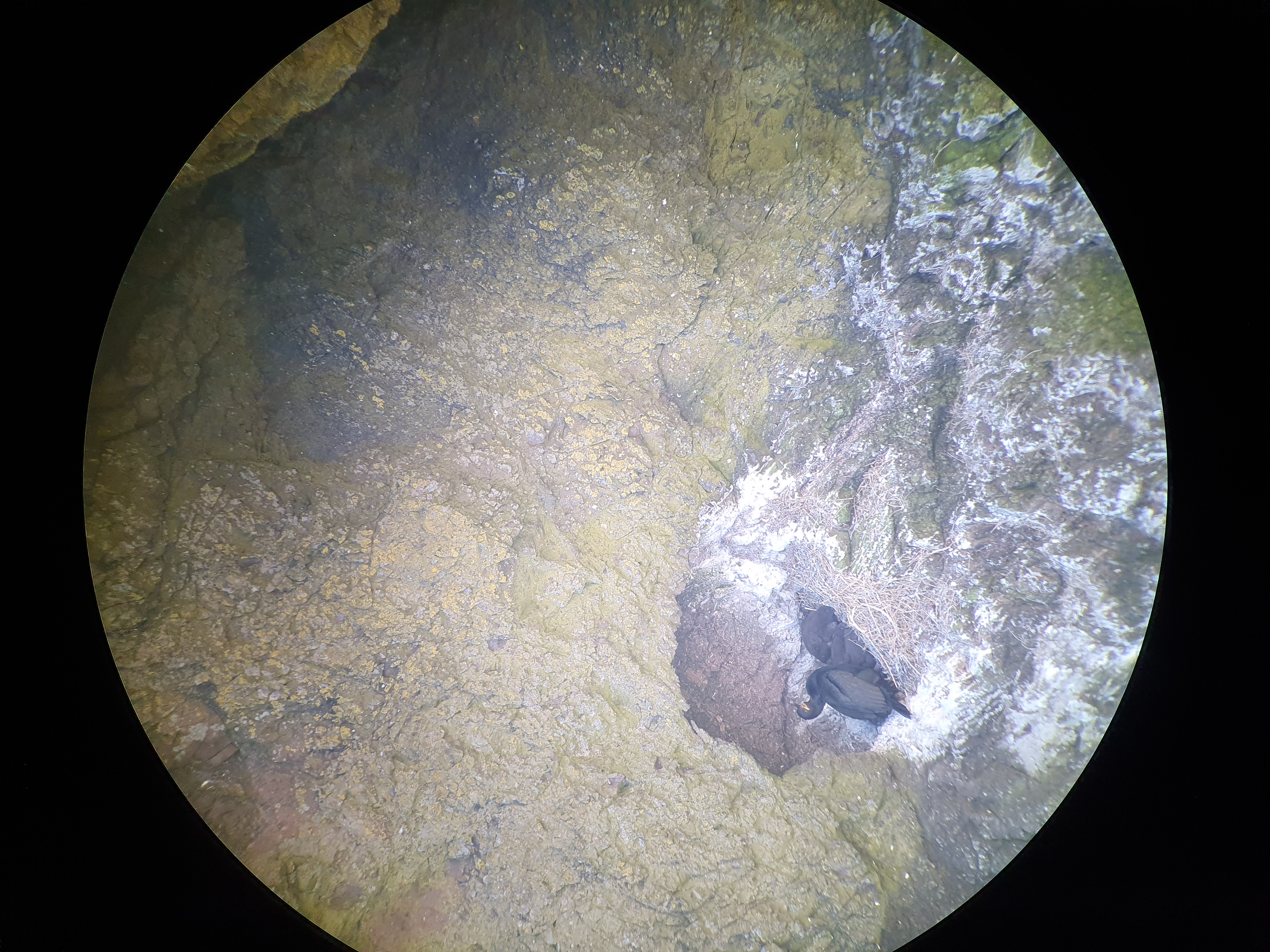 (Engeland). Foto van Johan Meijer.
